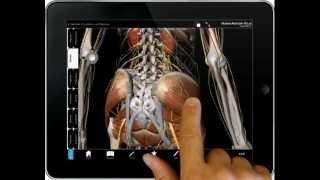 Human Anatomy Atlas - iPad tutorial