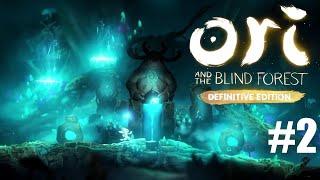 Ori and the Blind Forest Playthrough Part 2 Black Root Burrow and Sunken Glades