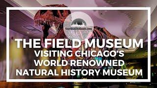 The Field Museum, Chicago - A Visit to One of the world's Best Natural History Museums