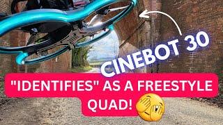 CINEBOT 30 - The perfect beginner freestyle trainer??