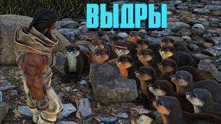 ПРИРУЧЕНИЕ ВЫДРЫ (OTTER), ГДЕ НАЙТИ, ЧТО ОНА УМЕЕТ - ARK  267