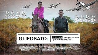 Glifosato: el primer caso por muerte que admite la CIDH | El Espectador