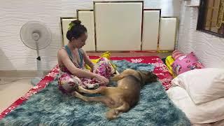 OMG ! Kwan Need help massage from KOKO but KOKO still playing with her