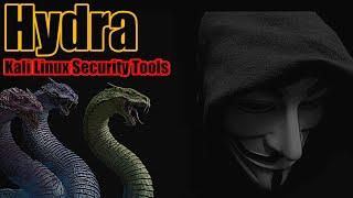 Penetration Testing with Hydra and Kali Linux