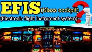 EFIS | Electronic flight Instrument system | Explained in Hindi