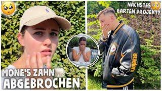 MONE BRICHT ZAHN AB! + neues Garten Projekt gestartet! | kobexmone