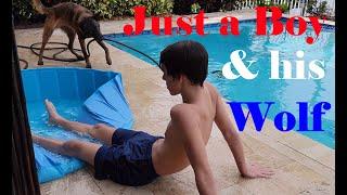 Wolf v Boy: Pool Tug of War Challenge Epic Battle!