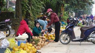 Harvesting Palm Fruits to Sell at Market, Making Bamboo Fences, Mountain Life