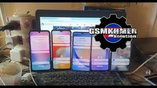 How to Change Samsung F946b KG Locked to Active