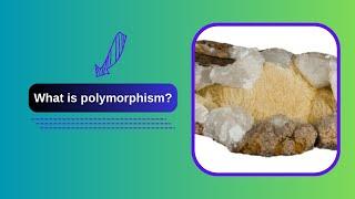 What is polymorphism?
