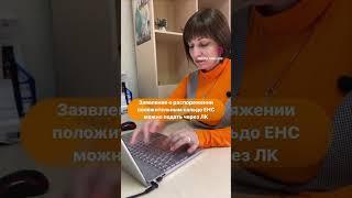 Заявление о распоряжении положительным сальдо ЕНС можно подать через ЛК