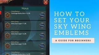 Legacy of Discord- A Guide of how to set your Sky Wing Emblems