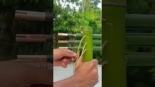 Bamboo creation with 3 arrow  #bamboo #slingshots #Dly #BLead