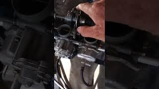 Carburetor Assembly Fuel Leak