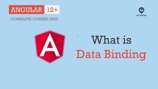 What is data binding | Data Binding | Angular 12+