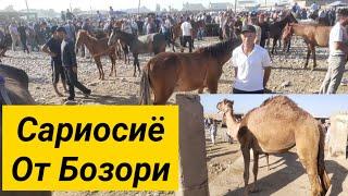 Сурхондарё Сариосиё Пайшанба ОТ БОЗОРИ нархлари. 30.06.2022й