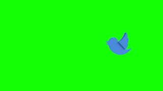[4K] Twitter Bird Animation - Green Screen