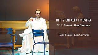 Tiago Matos  -  Deh vieni alla finestra | Mozart