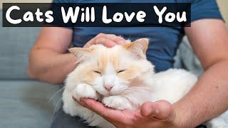 How to Give Your Cat a Relaxing Massage | The Cat Butler