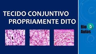 Tecido Conjuntivo Propriamente Dito Frouxo e Denso - Histologia (Bio Aulas)