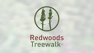 REDWOODS TREEWALK | ROTORUA | NEW ZEALAND