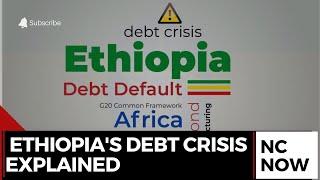 Ethiopia's Debt Crisis: World Bank and IMF Clash Over Sustainability Analysis