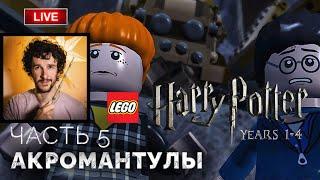 Дневник Тома Реддла, Арагог и акромантулы, Василиск  Lego Гарри Поттер: Годы 1-4 ● Прохождение 5