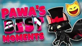 BEST OF PAWALUNAR - Animal Jam