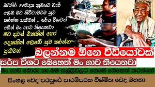 අකලට හිසකෙස් පැහෙනවද  #viral #srilanka #trending #shorts  ktjtravel