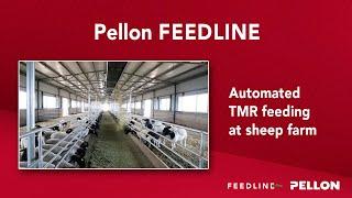 Automated TMR feeding at sheep farm - Pellon Feedline