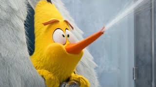 THE ANGRY BIRDS MOVIE 2 CHUCK BEST MOMENTS [HD] ANIMATION MOVIE