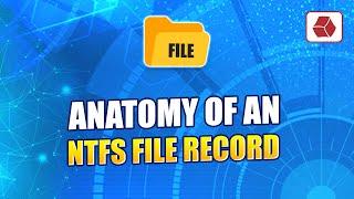 Anatomy of an NTFS FILE Record - Windows File System Forensics