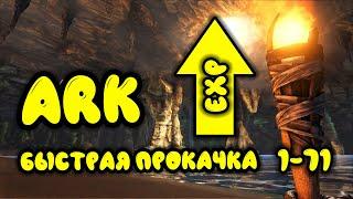 ARK Survival Evolved самая быстрая прокачка персонажа за 10 минут, гайд для новичков.