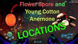 Flower Spore and Young Cotton Location // Subnautica Below Zero