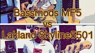 Bass comparison : Bassmods MF5 vs Lakland Skyline 5501