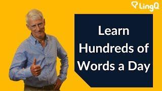 Vocabulary - Learn Hundreds of Words a Day