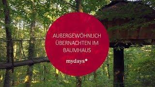 Baumhaus Übernachtung Guyonvelle | mydays.de