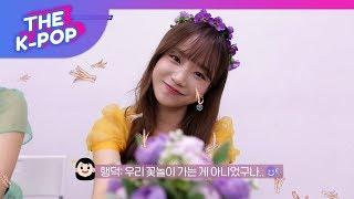 IZ*ONE, HAPPY STAN LIVE CHAPTER 2 [THE SHOW 190416]