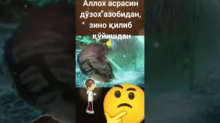 зинокорларни жазоси