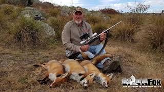 Fox Hunting In the New England with the Silva Fox Whistle and Ron Kiehne.