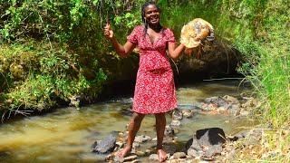 AFRICAN VILLAGE GIRL PREPARING BIG ROOSTER  FOR FOOD