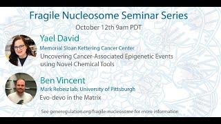 Yael David: Uncovering Cancer-Associated Epigenetic Events Using Novel Chemical Tools