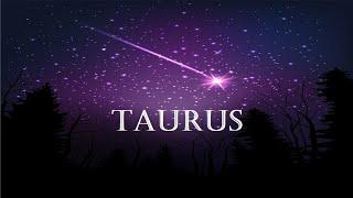 TAURUS: DRAWN to YOU!