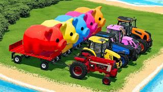 BIG & SMALL GIANT PIGS TRANSPORTING WITH DIFFERENT TRACTORS BATTLE & DEEP MUD! FS22