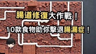 擺脫腸漏症的利器：10款食物助你重建腸道健康 （附中文字幕）｜健康飲食週報 Healthy Eating Weekly Report