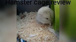 Rosewood Pico hamster cage review