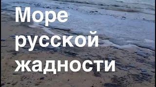 РУССКАЯ АЛЧНОСТЬ ОЧЕРНИЛА ЧЕРНОЕ! ЗАМАЗАЛИ МАЗУТОМ, А ЗАТЕМ ВЗЯЛИСЬ КОПАТЬ! Лекция историка А. Палия