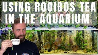 USING ROOIBOS TEA IN THE DISCUS AND ALTUMS TANK