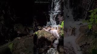 Waterfall, Townley Hall, Drogheda