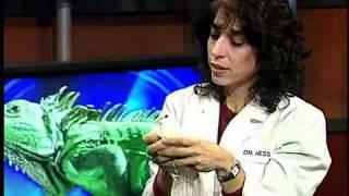 Dr. Laurie Hess with a Dove